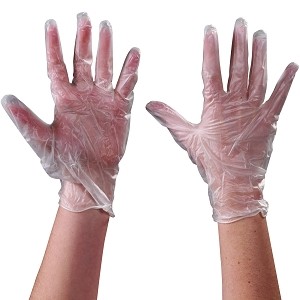 Vinyl GlovesÿClear - 5 Mil - Powder Free - Large - 100 PER CASE