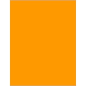 8 1/2 x 11