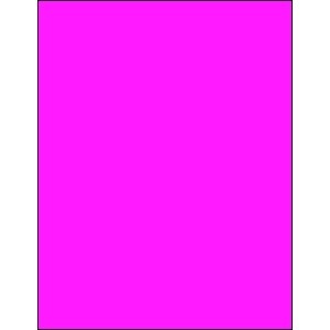8 1/2 x 11